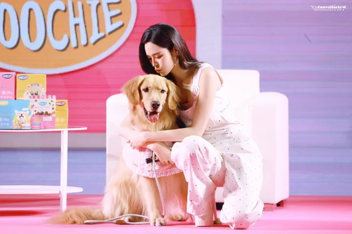 Photo from Moochie Pet Food